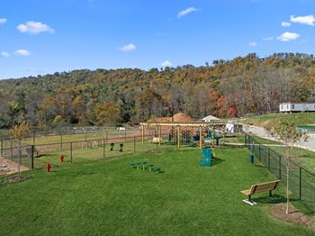 Dog run